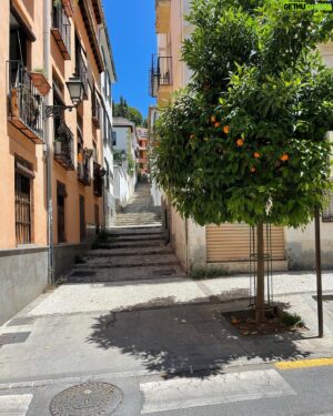 Amr Waked Instagram - As you walk the streets of #Granada, you can pick an orange from any random tree and eat it!
#andalucia #españa