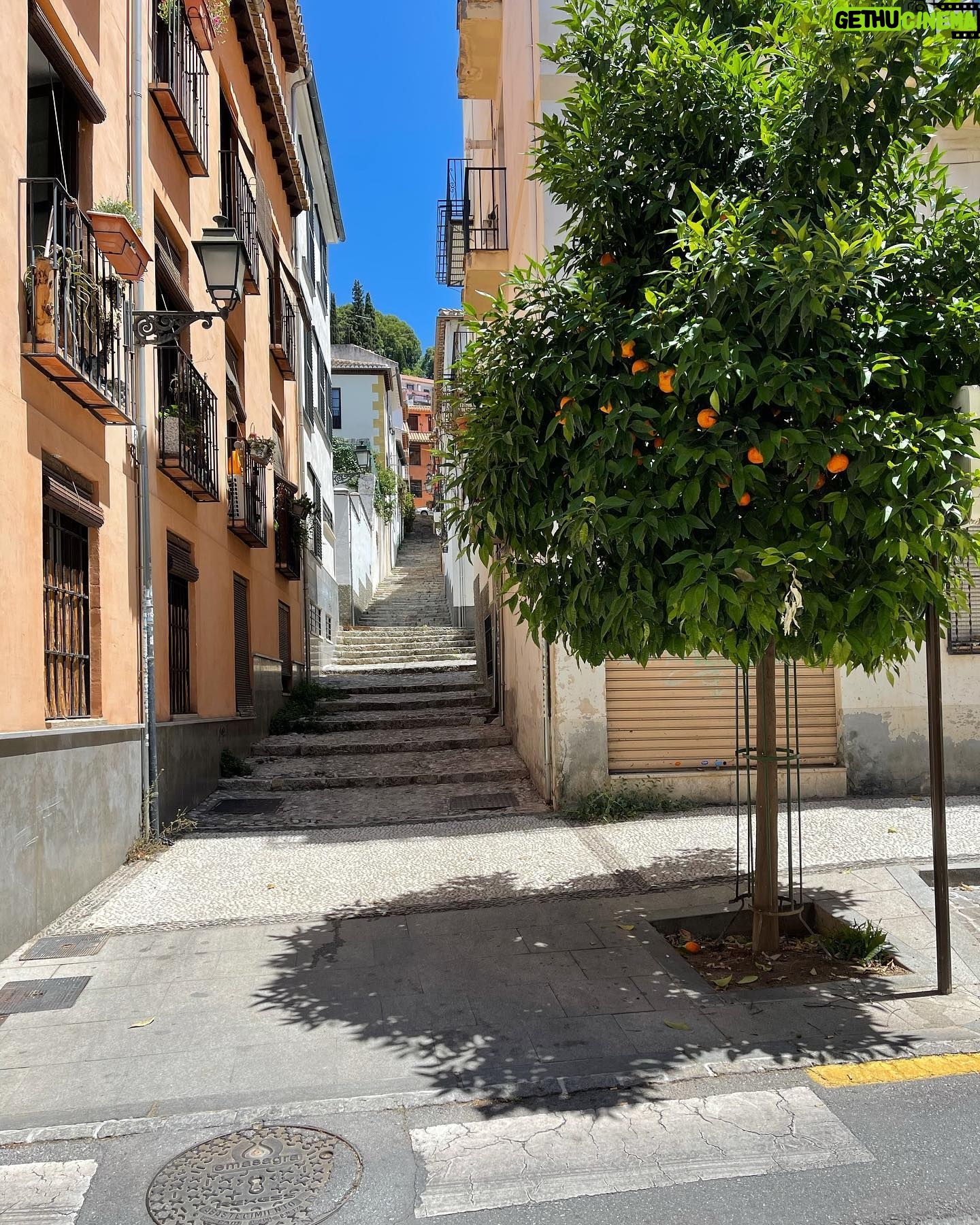 Amr Waked - 2K Likes - As you walk the streets of #Granada, you can pick an orange from any random tree and eat it!
#andalucia #españa