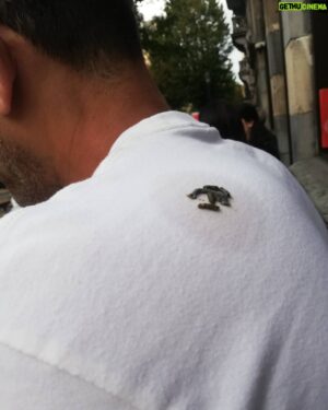 Amr Waked Instagram - The privilege of bird shit. #brussels #birds #lucky