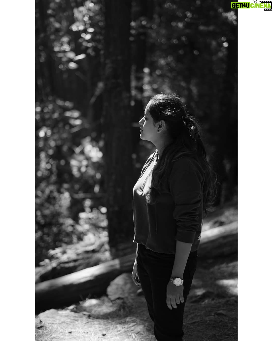 Amritha Menon - 790 Likes - Meāļø
#photooftheday #healing #beauty #beautiful #photography #instadaily #mindfulness #motivational #entrepreneur #inspire #meditation #health #peace #lovequotes #selfie #goodvibes #art #quotestoliveby #poetry #wellness #quotestagram #lifequotes #thoughts #inspirational #fashion #mentalhealthawareness #spirituality #nature #skincare #healthylifestyle