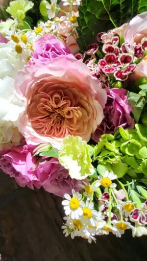 Amy Bouzaglo Instagram - “Minds are like flowers; they open only when the time is right.”