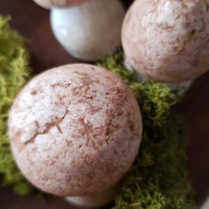 Amy Bouzaglo Instagram - Marshmallow Meringue Mushroom 🍄 
#thefungies #Meringue