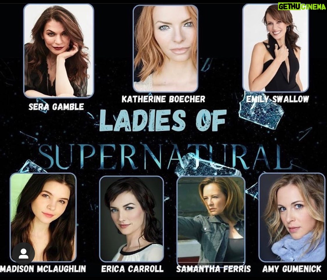 Amy Gumenick - 1.5K Likes - Excited to join my fellow Ladies of Supernatural tomorrow, as we raise money for pups in need! ❤️🐶 @buddyshealingpaws #ladiesofspn #spnfamily #doglovers #giveback #holidayspirit