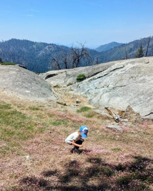 Amy Paffrath Instagram - Proof of life and how utterly small we are 🌲🥾⛰️🌸