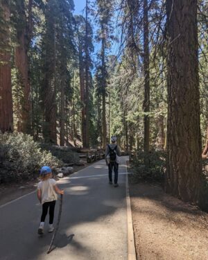 Amy Paffrath Instagram - Proof of life and how utterly small we are 🌲🥾⛰️🌸