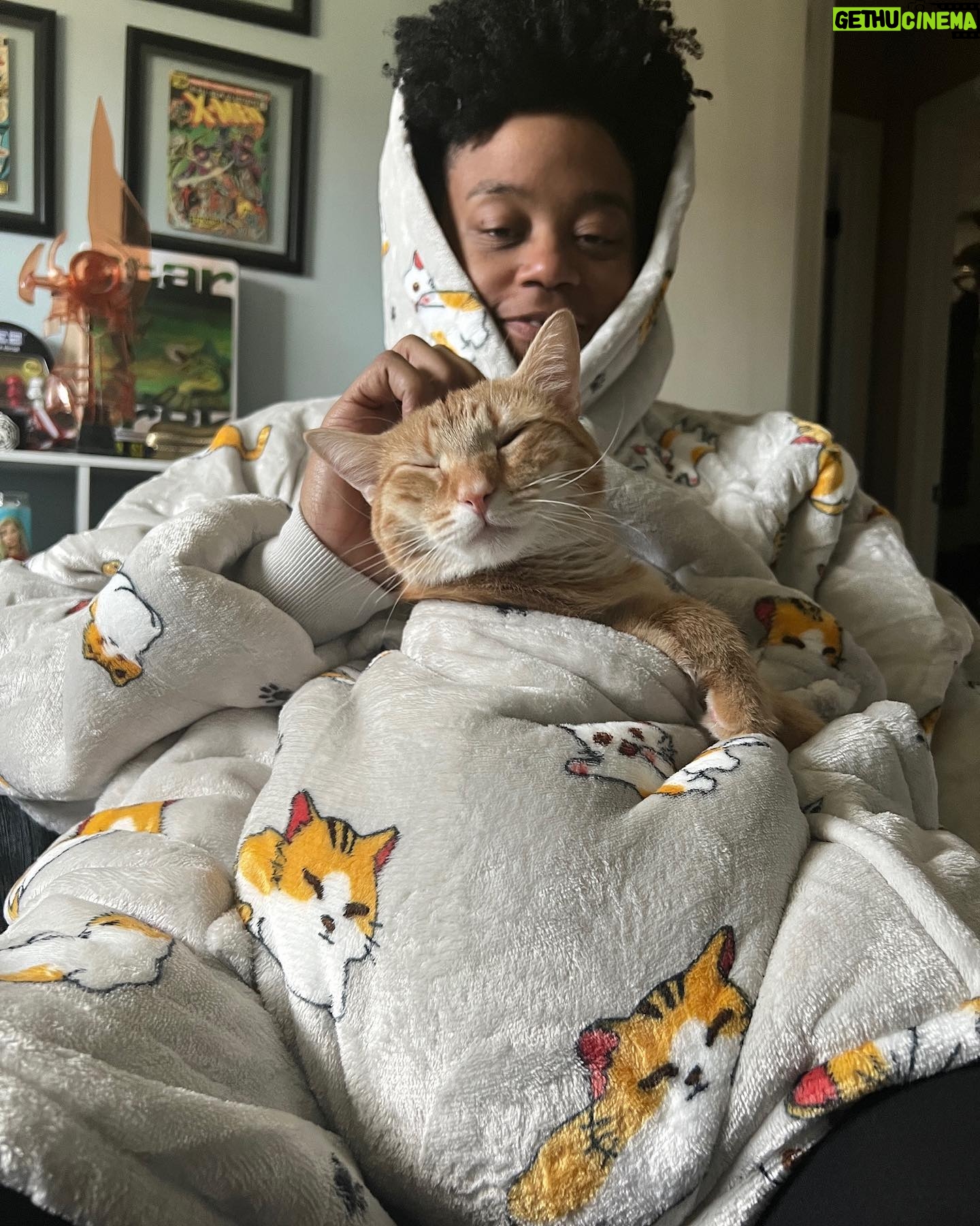 Amythyst Kiah - 1.7K Likes - This is what 37 looks like: wearing a sherpa hoodie blanket that matches your cat. Thanks @redheadpress ♥️
