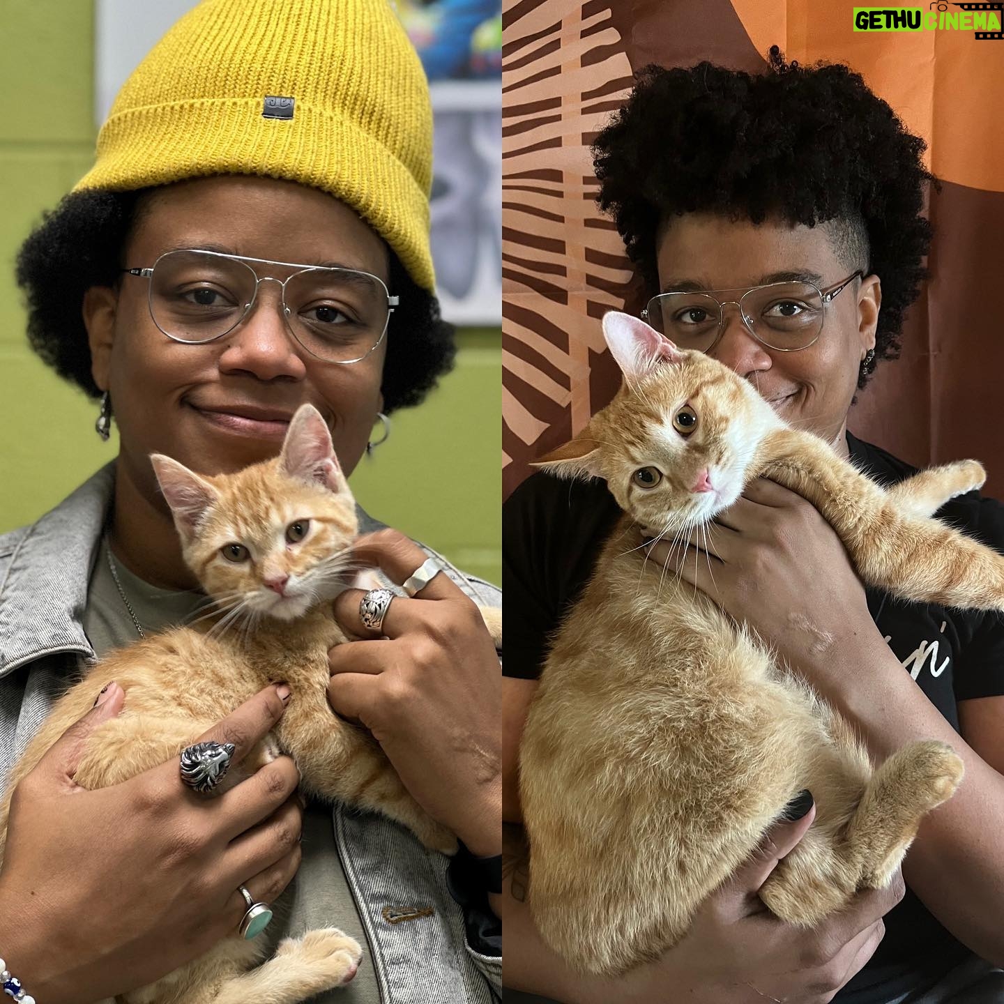 Amythyst Kiah - 1.4K Likes - Zuko is now a fully grown adult who will always be baby, and he definitely enjoyed being held in the second photo… 😅🥹♥️