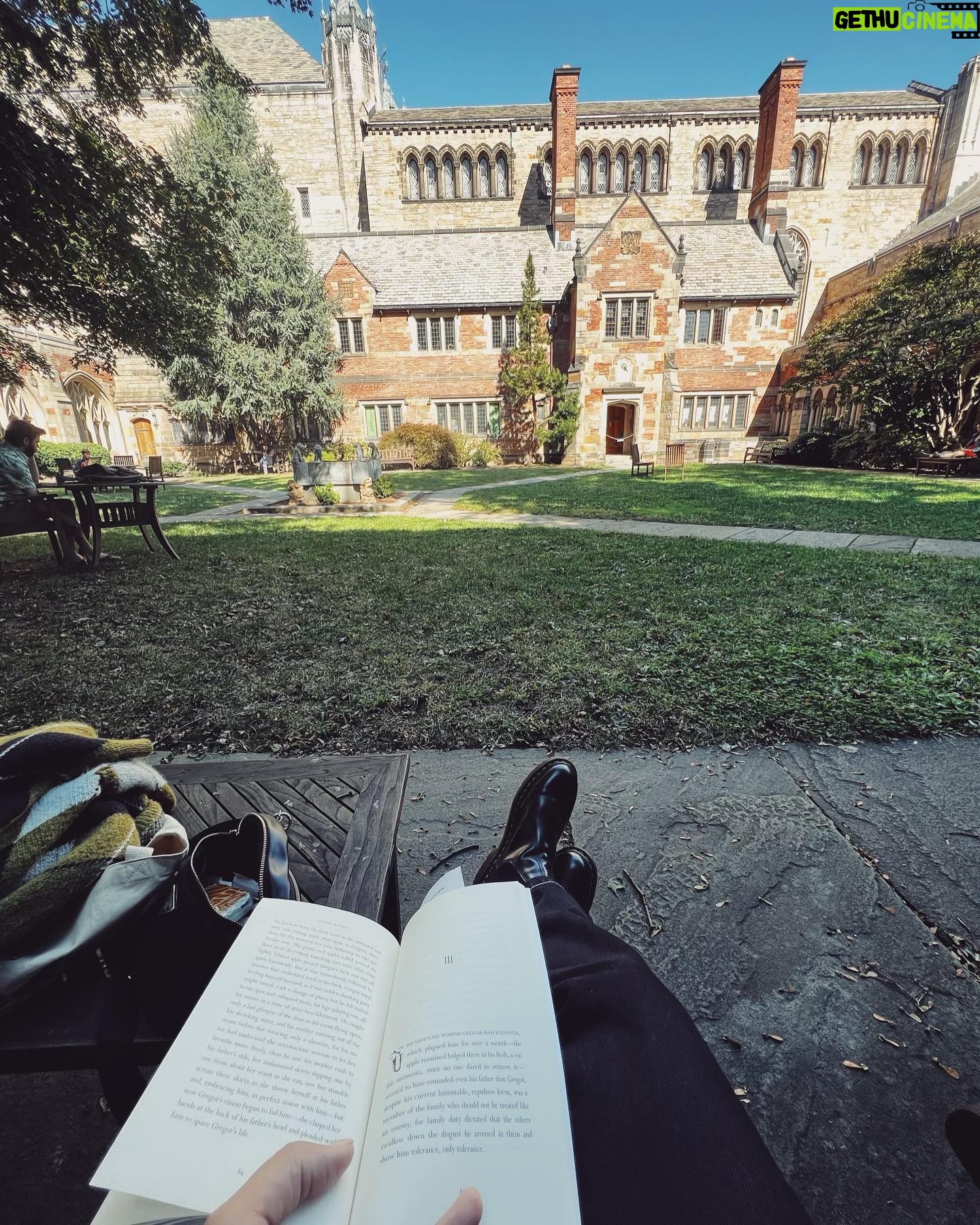 Amythyst Kiah - 669 Likes - Had the best French toast (not pictured), then picked up some new books and studied them at @yale’s library. Quite the perfect morning.
