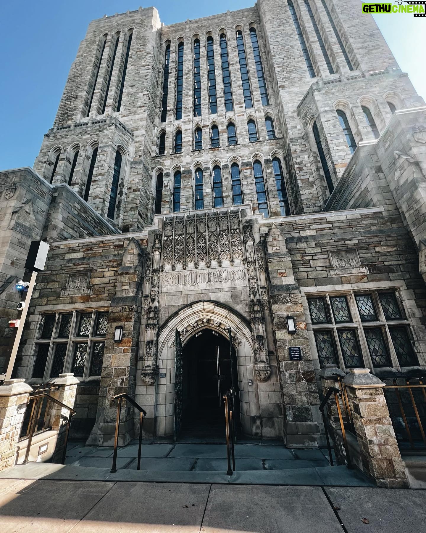 Amythyst Kiah - 669 Likes - Had the best French toast (not pictured), then picked up some new books and studied them at @yale’s library. Quite the perfect morning.