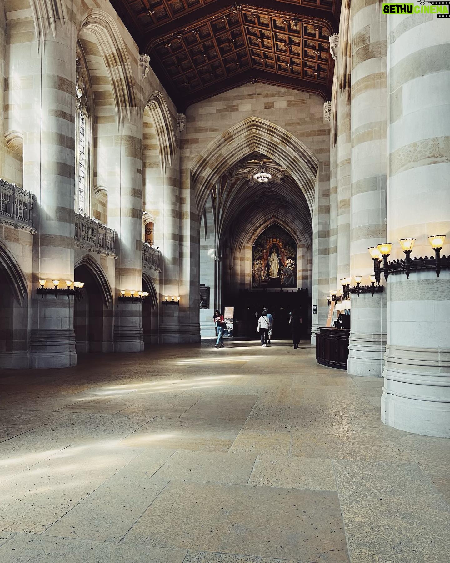 Amythyst Kiah - 669 Likes - Had the best French toast (not pictured), then picked up some new books and studied them at @yale’s library. Quite the perfect morning.