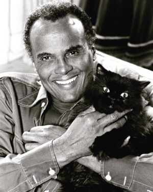 Ana Matronic Instagram - One of the greatest humans ever. What a gift you were to the world Mr Belafonte 💔 #rip #harrybelafonte