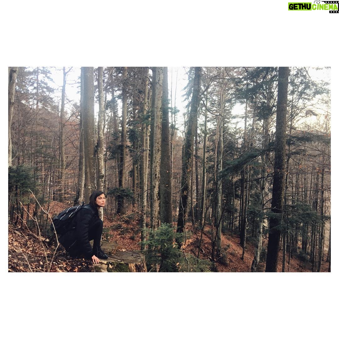 Ana Ularu - 1K Likes - Forest/Elven #magic #vagabonds #nomadactor #romania #production #nature #nurture #home #artistsoninstagram