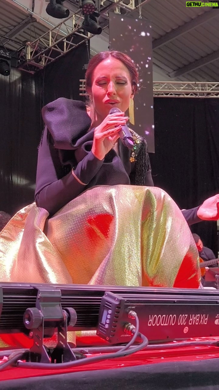Ana de Caro - 590 Likes - De mis ansias y mis sueños, de mi verdadera vida… @raphaelartista love ❤️❤️❤️#versiones #musica #raphael #quesabenadie vestida por mi @byarcos