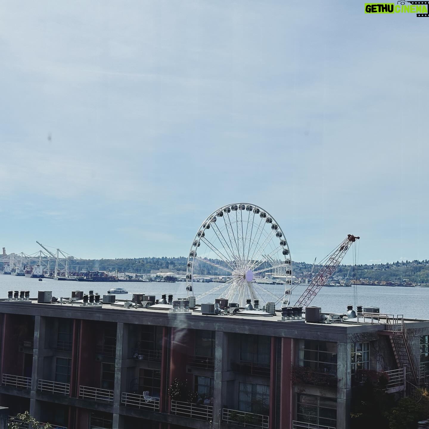 Anairis Quinones - 765 Likes - SAKURA-CON YOU WERE AMAZING!! Thank you staff and attendees for the wonderful chats, vibes, and laughs. Yāall made our first time in Seattle AMAZING and I cannot wait to come back ā¤ļø
s/o to the sun for showing up all weekend tho u a real one
#sakuracon #sakuracon2024 #sakuracon24 #seattle