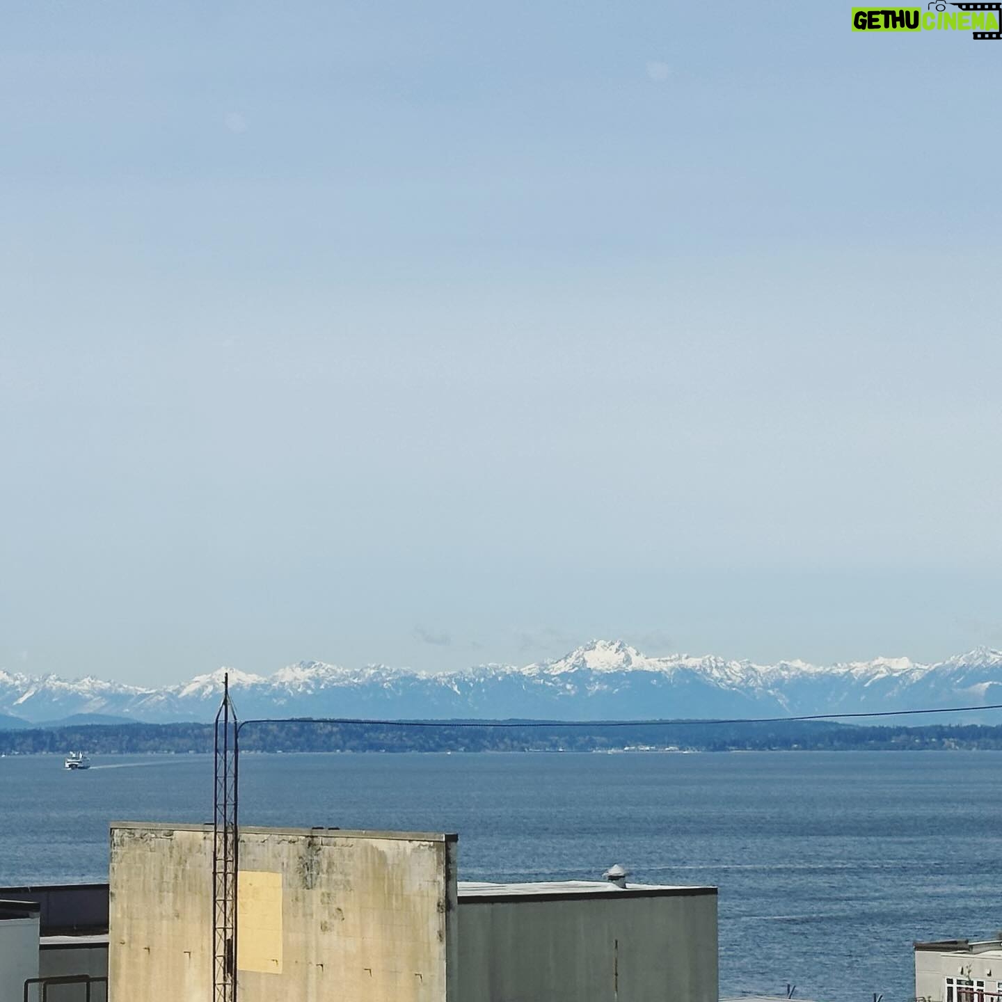 Anairis Quinones - 765 Likes - SAKURA-CON YOU WERE AMAZING!! Thank you staff and attendees for the wonderful chats, vibes, and laughs. Yāall made our first time in Seattle AMAZING and I cannot wait to come back ā¤ļø
s/o to the sun for showing up all weekend tho u a real one
#sakuracon #sakuracon2024 #sakuracon24 #seattle