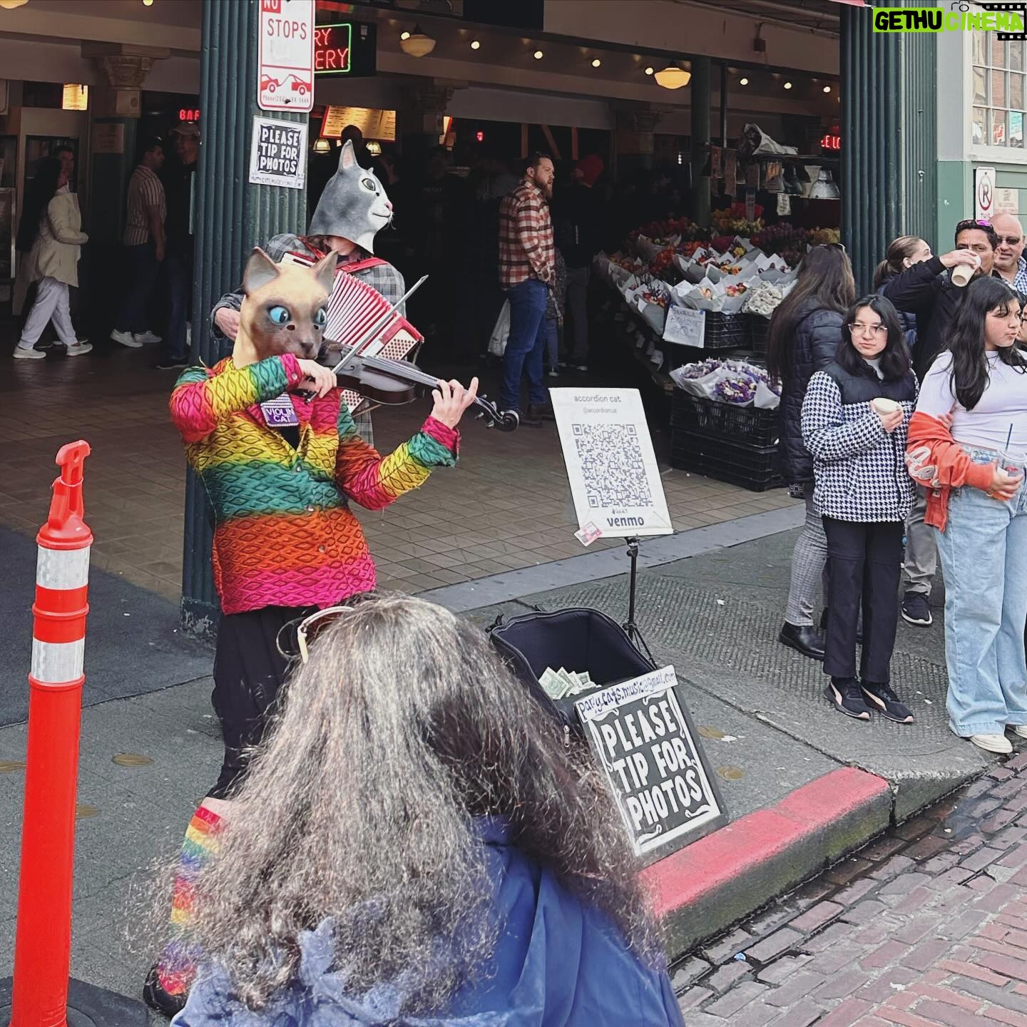 Anairis Quinones - 765 Likes - SAKURA-CON YOU WERE AMAZING!! Thank you staff and attendees for the wonderful chats, vibes, and laughs. Yāall made our first time in Seattle AMAZING and I cannot wait to come back ā¤ļø
s/o to the sun for showing up all weekend tho u a real one
#sakuracon #sakuracon2024 #sakuracon24 #seattle