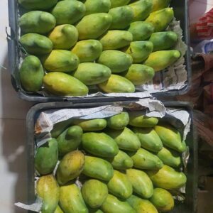 Ananta Jalil Instagram - Gift from my dearest,Choyon vai(MP)

#Fresh from the garden Rajshahi