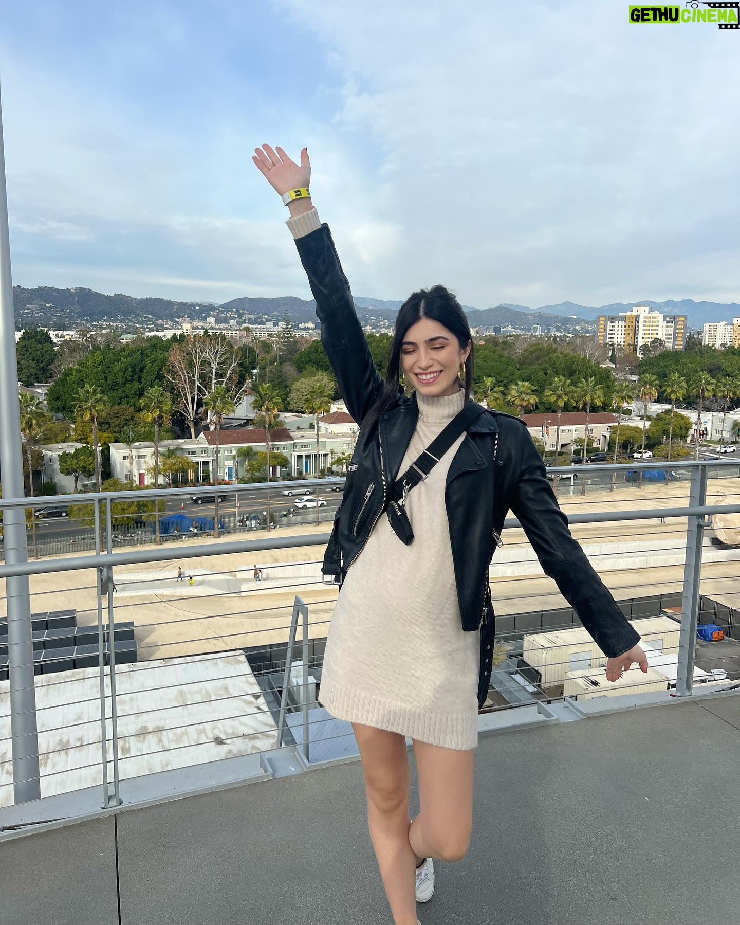 Andra Nechita - 3 Likes - the hollywood sign is the real star of the show