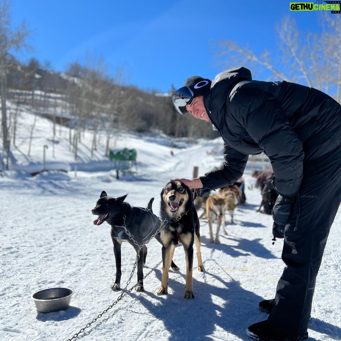 Andre Burakovsky - 5.2K Likes - Unbelievable day going dog sledding today. So much fun.