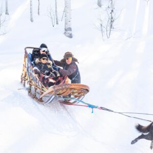 Andre Burakovsky Instagram - Unbelievable day going dog sledding today. So much fun.