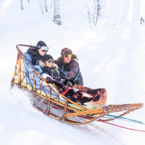 Andre Burakovsky Instagram - Unbelievable day going dog sledding today. So much fun.