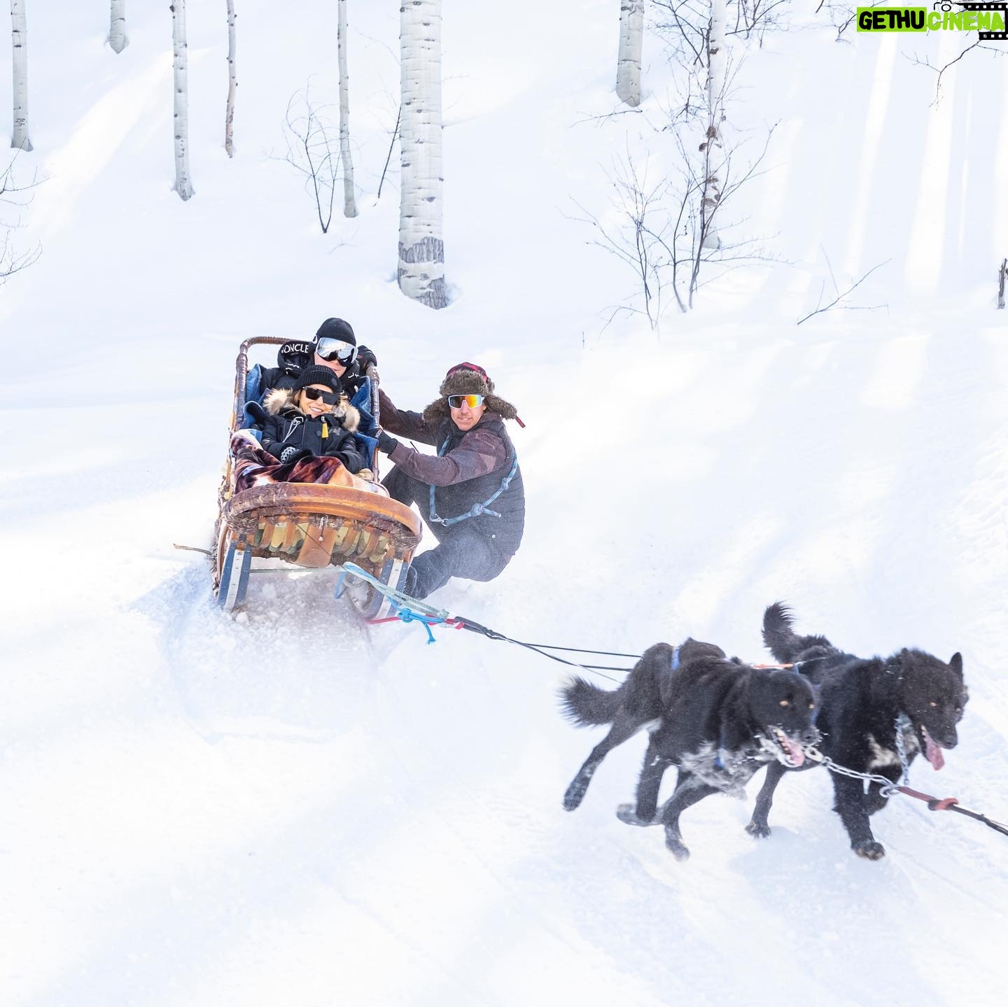 Andre Burakovsky - 5.2K Likes - Unbelievable day going dog sledding today. So much fun.