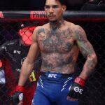 Andre Fili
