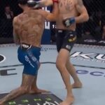 Andre Fili