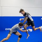 Andre Fili