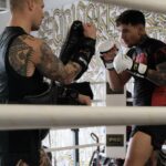 Andre Fili