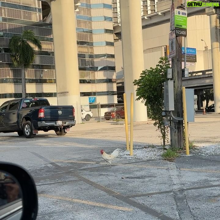 Andrea Cortés - 1.5K Likes - Take me back to Miami.. 🏝️