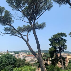 Andrea Marcolongo Instagram - Arrivederci, Roma. 🇮🇹 #roma