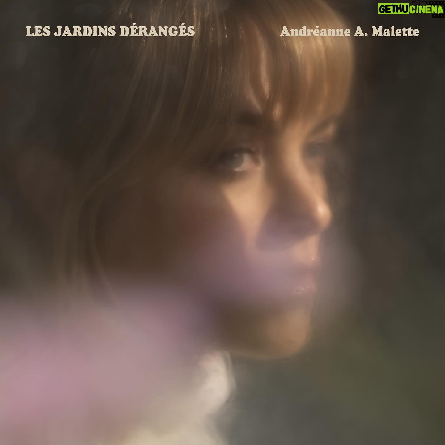 Andréanne A. Malette - 370 Likes - LES JARDINS DÉRANGÉS
C’est sorti ! Je manque de temps ce matin pour écrire tout ce qui rempli mon coeur! Mais il est plein à craquer!
Bonne écoute ! J’ai hâte d’avoir vos commentaires 🧡
.
.
.
#LesJardinsDérangés
Photo @catherinedeslauriers.photo
Coiffure maquillage @misslala_makeup
Graphisme : @cloute @judithsun