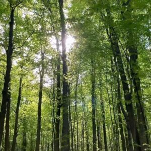 Andréanne A. Malette Instagram - Journée de recharge de batteries🔋🐸🌱