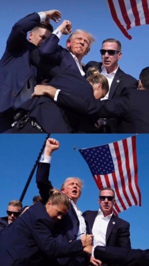 Andrew Gray Instagram - Praying for America 🇺🇸

Unfortunately, the individual/people who died will be a footnote in the books of history. 

This event will go down in all history books as a pinnacle moment that decided the election. 

It’s Over Now. WELCOME BACK MR. PRESIDENT!

Praying for you sir. 

GET TO THE CHOPPER!!! 

Reel: @russellbrand