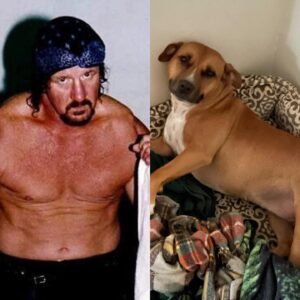Andrew J. Williams Instagram - Terry Funk, i wish you could have met Terri Funk. She’s a lil Bronco and you’re my favorite Bronco ever. Rest in peace and you’re the truest sense of what a legend is. ❤️🐴❤️