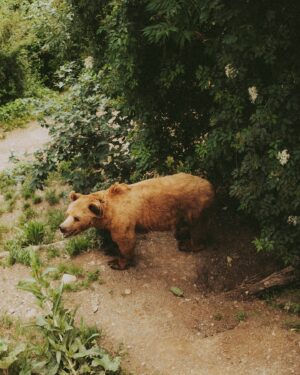 Andrew Keenan-Bolger Instagram - Last week I got go to Switzerland 🇨🇭 to visit friends and cheer on @Scottbix who helped curate a pop-up Pride event for @artbasel. This trip was all about wandering the storybook streets of Bern, eating fancy chocolate, visiting the town’s literal bear pit (for real, Google it 🐻), checking out some breathtaking work at the premier international art show, and hearing queer artists in conversation with each other as a part of the Arts & Embassies program that @scottbix helped curate. Definitely feeling pride and proud 🥰🌈