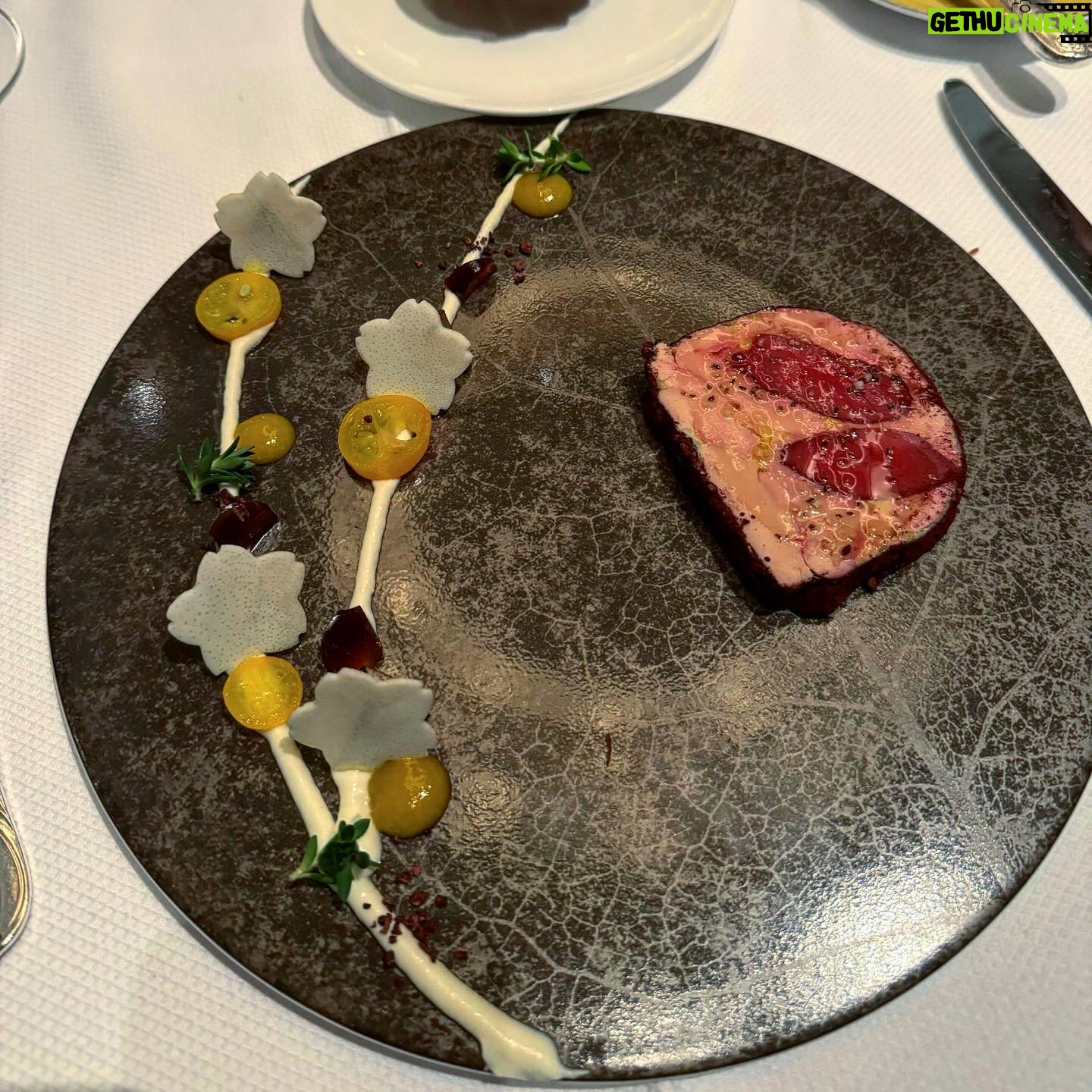 Andrew Rea - 37.1K Likes - It was thrilling enough to celebrate 8 years of Babish with my wonderful friends/coworkers at @restaurantdaniel, but nothing could’ve prepared me for meeting the man himself. Thank you all so much for the dizzying and surreal life that Babish has given me and the five wonderful people that it now employs. We’ve got some big things cooking for 2024.
Course 1: Foie Gras Terrine
Course 2: Pimentón Paccheri Pasta
Course 3: Red Wine Braised Duck