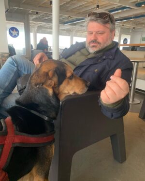 Andri Theodotou Instagram - Ταξιδεύοντας….!!!! @dimitrisdegaitis #andros #travelphotography #picture #picoftheday #love #dogsofinstagram #dog #spring #photooftheday #instadaily #sea #greece #happy #dogslife #travel