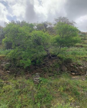 Andri Theodotou Instagram - Φεύγωντας ….!!! #andros #picture #picoftheday #photooftheday #islandlife #island #instagram #instagood #instadaily #instalife #instalike #naturelovers #naturephotography #nature #abandonedplaces #travelphotography #travel #greece