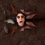Andri Theodotou
