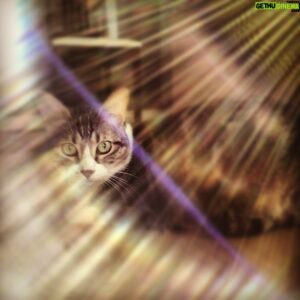 Andy Bean Instagram - Chatty Kathy