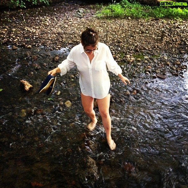 Andy Bean - 383 Likes - @lizzyloeb crossing