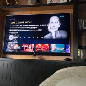 Andy Lassner Instagram - Do yourself of a favor and watch the @celinedion documentary on @primevideo if you can. 
I only watched it because my wife wanted to and I was ‘like ok fine’. 
My god. 
That’s all I can say. 
I’m in awe of this woman and her bravery. 
I knew very little about her and now I want to just get everyone to watch this thing to witness and learn what perseverance and courage are. 
Just wow.