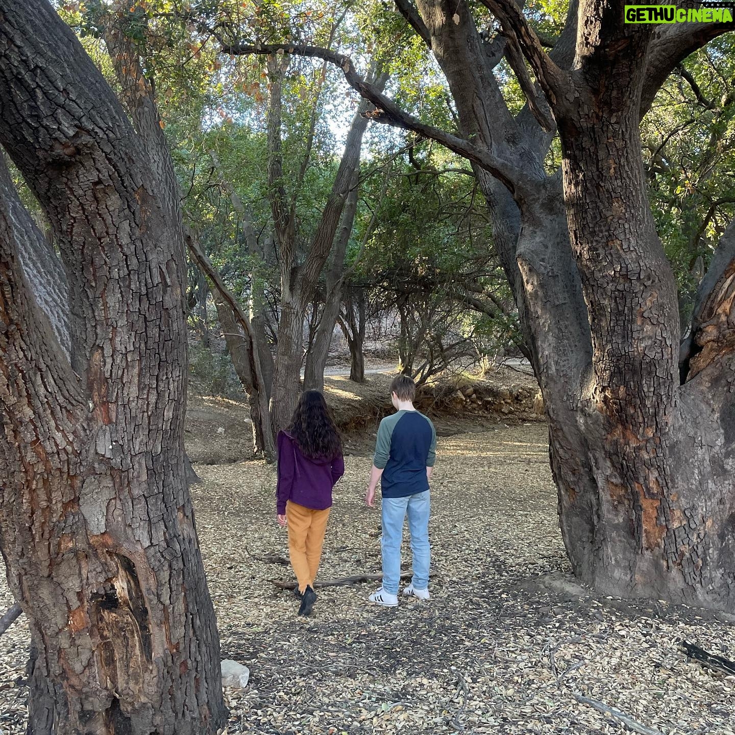 Andy Walken - 10.9K Likes - Walk in the woods with @yayagosselin and Edmund. Hope everyone is having a happy and safe holiday season! Photos by @kate.walken
#longtimenopost #helloagain #bestie #happyholidays #lawinter