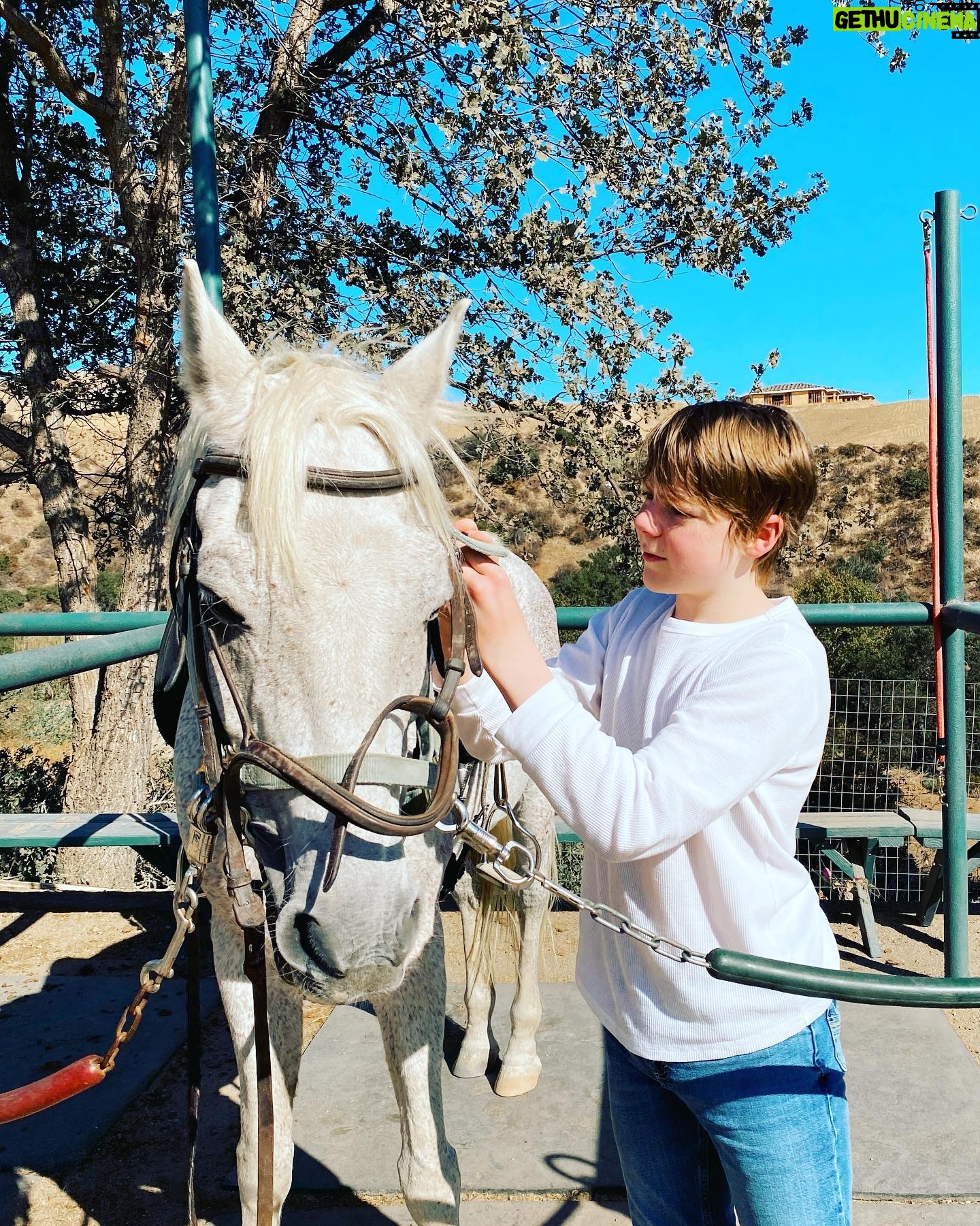 Andy Walken - 8.6K Likes - Long time no post…. Hello! How is your fall looking? 🍁🍂
#backtonature #horsepower #hisnameisindy🐴