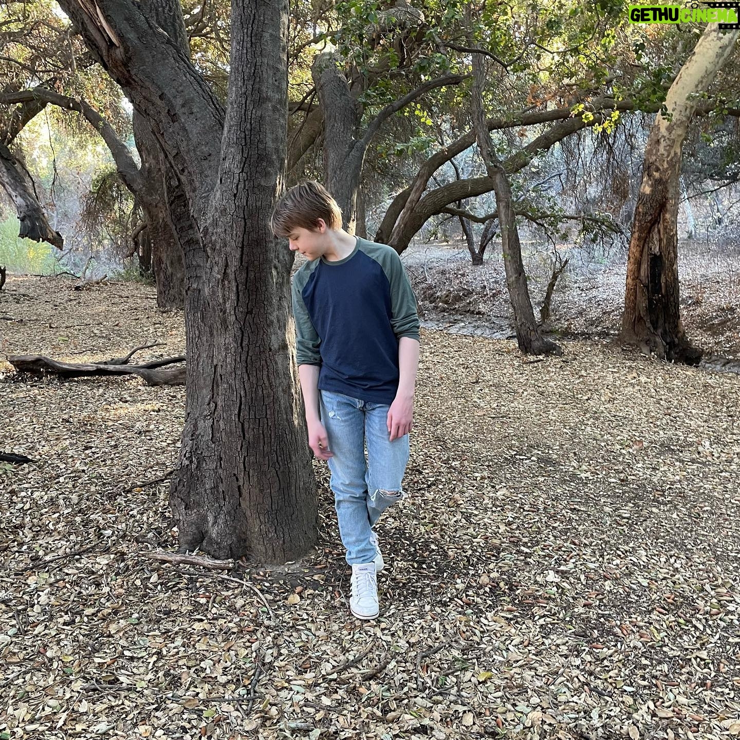 Andy Walken - 10.9K Likes - Walk in the woods with @yayagosselin and Edmund. Hope everyone is having a happy and safe holiday season! Photos by @kate.walken
#longtimenopost #helloagain #bestie #happyholidays #lawinter