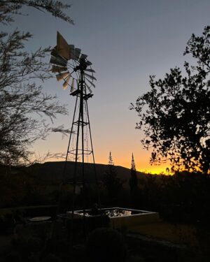 Anel Alexander Instagram - Just having a cuppa rooibos on the stoep of the Klaarstroom Guest House ☕️ In 2013 I had the privilege of shooting ‘Faan se Trein’ in the tiny dorpie of Klaarstroom in the Klein Karoo. It was one of the best filmmaking experiences of my career, thanks to the hospitality of Jeremy and Sharon at the guest house (where we stayed for the 6 week shoot) and the neighbouring farmers and residents that spoilt us rotten. I will always keep coming back! @klaarstroomsharon #roadtrip #beautifulsouthafrica