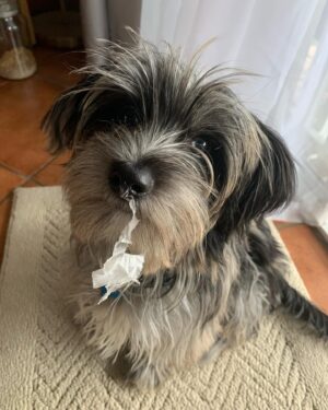 Anel Alexander Instagram - Reunited with my little guy… Note: I hardly ever post in real time. I feel it takes me out of the moment and I like to be present. So thank you to every person that has invited us over for a cup of coffee on our road-trip, but I’ve been home for a week!