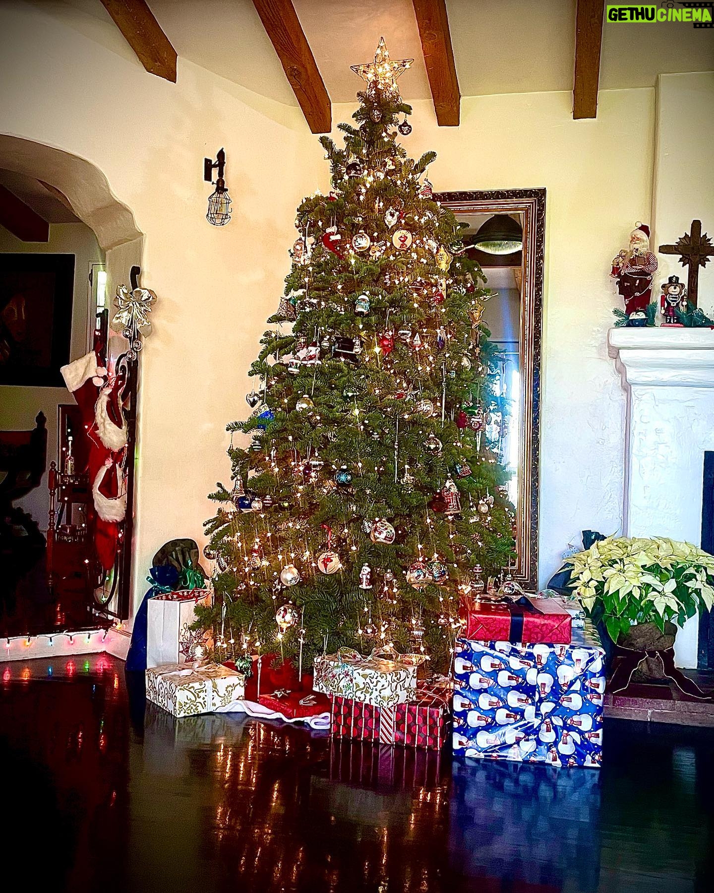 Angela Alvarado - 616 Likes - Feliz Navidad❤️Merry Christmas #holidayseason2022🎁⭐️🎄 #family #amor #blessed #grateful #happy #friendship #peace #life #calixmas #beauty #magic @casamarmont @revelationman @redamorosa #lovesofmylife #complete